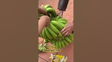 Dao pha nải chuối siêu nhanh sắc bén