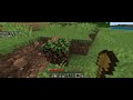Playing in my survival world!