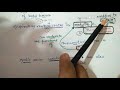 Regulation of respiration by Rhythm centre,  pneumotaxic centre,chemosensitive area etc.