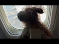 CB Movie: Craxel boi ￼arrived Dallas, Texas