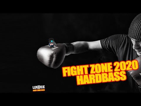 Fight Zone 2020