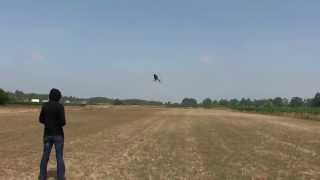 Align T-Rex 550E DFC V3 First Flight