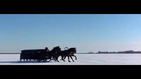 Onegin- Pelicula Britnica- (Basada en la obra del escritor Ruso Pushkin)  / 1999