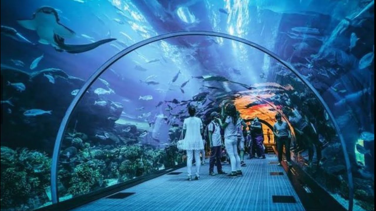 360° inside S.E.A aquarium, Sentosa Gateway