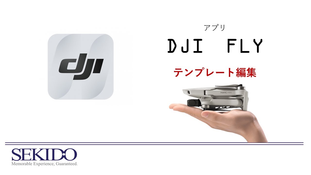 DJI Fly 1.5.1. DJI Fly пршив4е. DJI Fly 1.5.1 interface. Отличия версий DJI Fly 194 от 198.