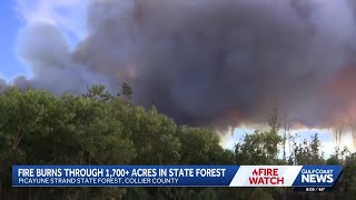 Picayune Strand Brush Fire Burns More Than 1,700 Acres In Collier County, Evacuations Ordered