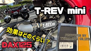 【DAX125】T-REV mini装着したらどのくらい変わるの？【TERAMOTO】