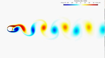 Vorticity field of von Karman vortex street behind a circular cylinder