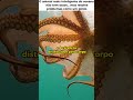 O Polvo é o GÊNIO do Oceano 🐙😳 #shorts #shortsvirais #curiosidades #viral