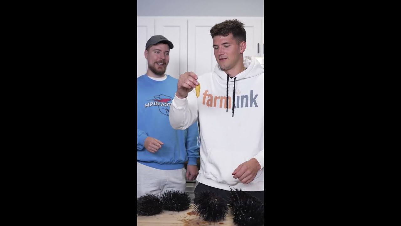 Eating Live Sea Urchin Ft MrBeast 