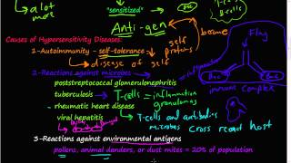 73P - Overview, Causes, and Chronicity of Hypersensitivity Diseases