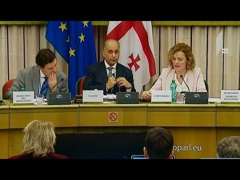 საქართველო-ევროკავშირის ასოცირების საპარლამენტო კომიტეტის სხდომა