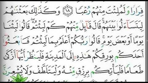 مصحف التجويد الصفحة 295 إبراهيم الأخضر