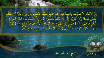 سورة يس بصوت القارئ أحمد أبوبكر نافد