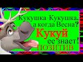 Где ВЕСНА?Умоляю Апрелю не наливать!Видео для хорошего настроения!Ждем весну!