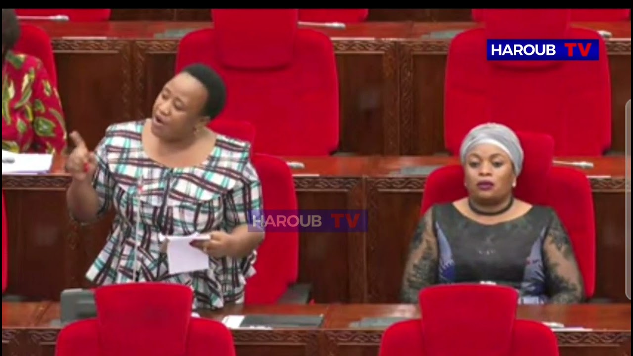 MBUNGE BAHATI NDINGO AWAKA KUHUSU GN 28 BUNGENI