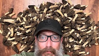 How To Find Morel Mushrooms ? Tips & Tricks !!!