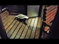Day 36 - Honey Badger in the fridge and more from around South Africa