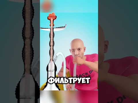 Кальян = 100 Сигарет @zackdfilms