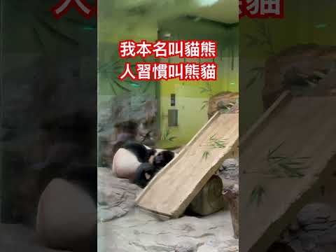熊貓館