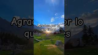 “El estoico no envidia: aprende a agradecer lo que ya tienes”