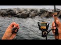 Fishing Live Crabs On Rock Jetty (JUMBOS!)