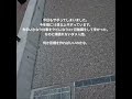 #vlog #yui #日常 #umbrella