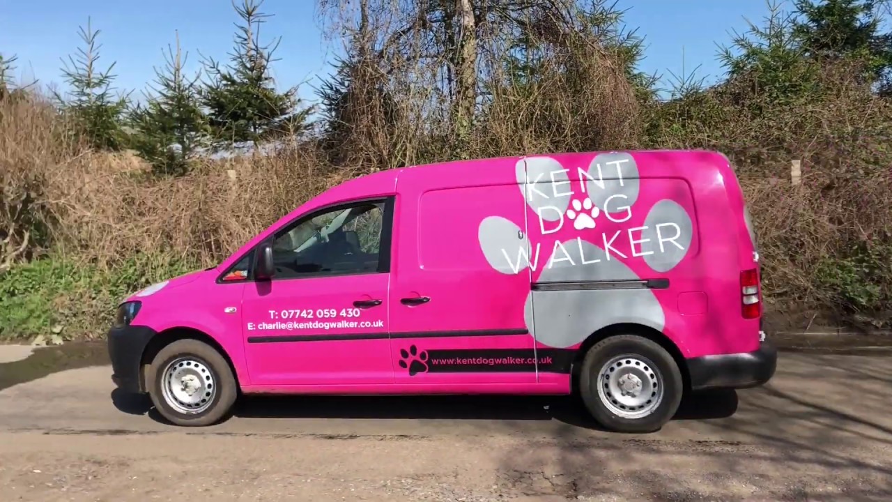 Kent Dog Walker Dog Services in Kent YouTube