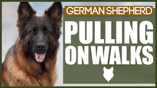 How To STOP Your GERMAN SHEPHERD PULLING ON WALKS