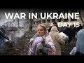 War in Ukraine: day 15