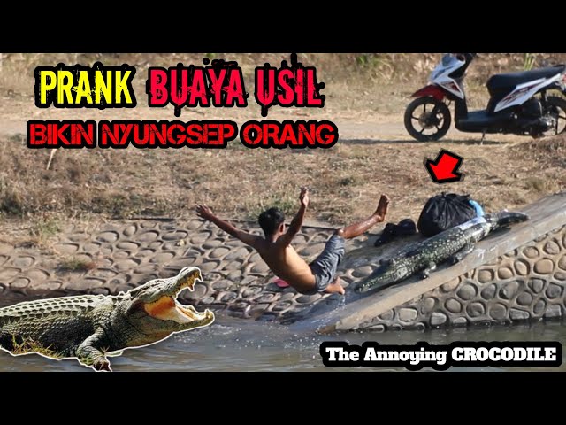 Video Lucu || Edisi Prank Buaya Paling Ngakak 🤣🤣 || Super Lucu Auto Nyemplung class=
