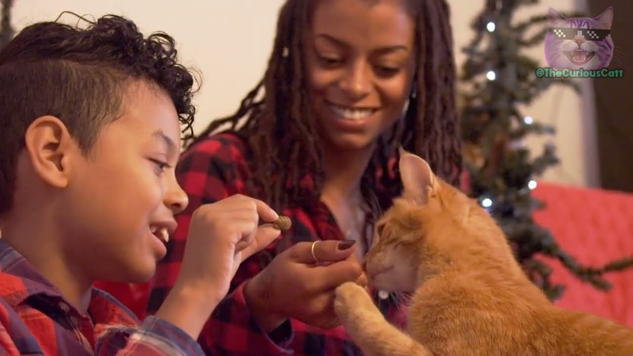 YouTube video image 2