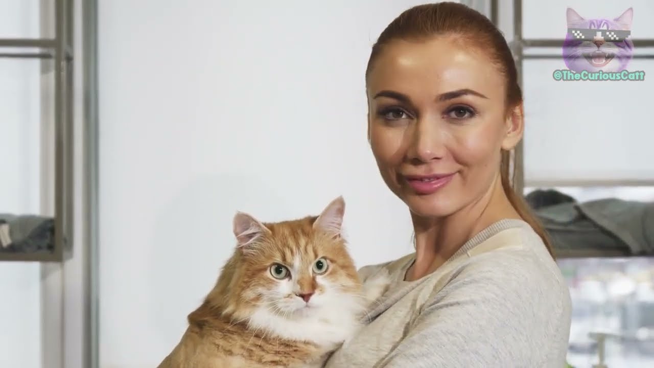 YouTube video image 3
