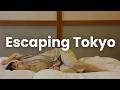 A Cozy Winter Escape in Japan: Tatami, Forest Sauna & Mindful Moments | JAPAN VLOG