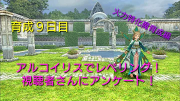 トーラム アルコイリス トーラム アルコイリス