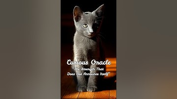 Curious Oracle #050 – “The Strength That Does Not Announce Itself” #CuriousOracle #CosmicEnergy