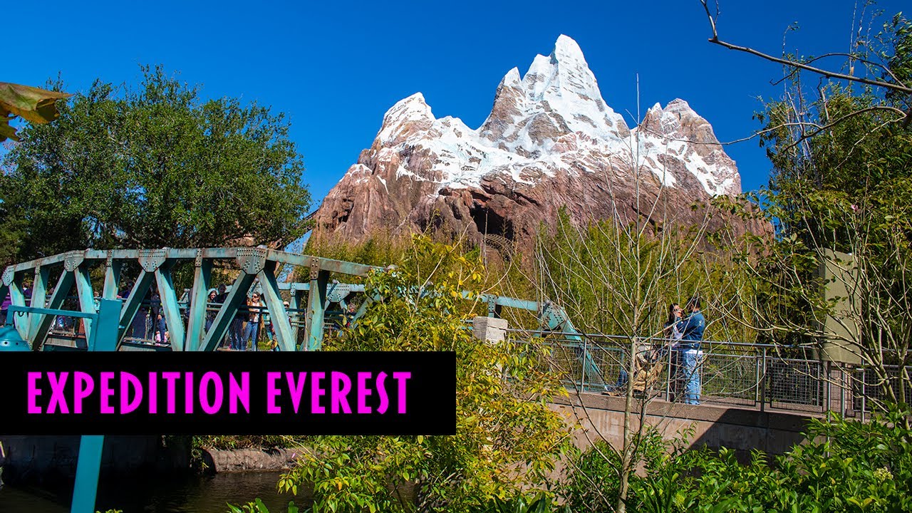 Disney's Animal Kingdom: Expedition Everest | Sights and Sounds | WDW