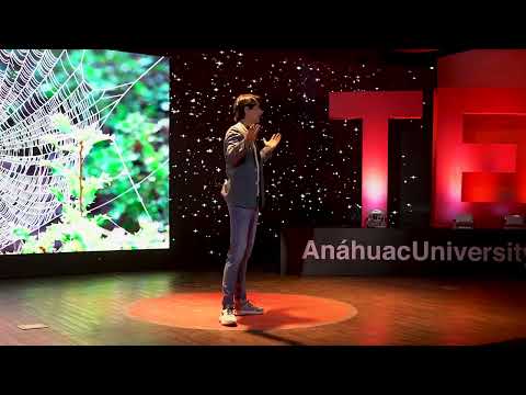 Conectar para emprender | Javier Larragoiti Kuri | TEDxAnáhuacUniversityQuerétaro