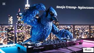 Snajo Trump Nginezami  Song