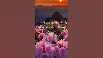 #سورة_إبراهيم #القرآن_الكريم #السعودية  #القرآن_الكريم #السعودية #المغرب #تيك_توك #الامارات #العاب #