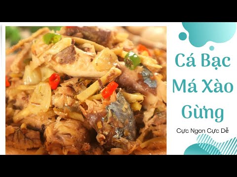 Cách làm Cá Bạc Má Xào Gừng | Nữ Nhi Food 143 Cách làm Cá Bạc Má Xào Gừng | Nữ Nhi Food 143