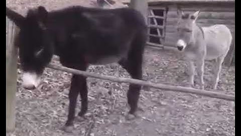 smart work for css 3rd one