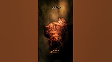 سورة الزمر الأية 67