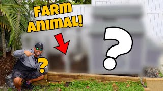 Buying My First BACKYARD FARM Animal! *What did we get?!* by Joey Slay Em 8,658 views 1 year ago 14 minutes