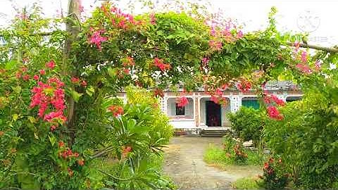 Thư Giãn Chiều Quê|Gò Công Quê Tôi|Gạo Gạo Channel#120