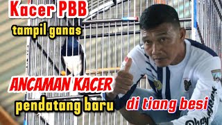 KACER PBB PENDATANG BARU TAMPIL GANAS DI EBOT JOSS VAGANZA 05 OKT 2025