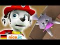 Paw Patrol | Kali ist in Schwierigkeiten! 🐱 | Nick Jr.