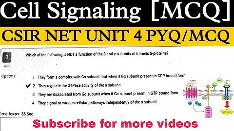 Cell signaling mcq for csir net|cell signaling pyqs in csir net|gpcr rtk mcqs|csir net pyqs #csir