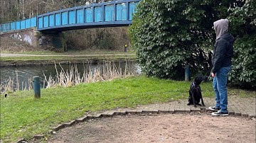 A level Media Studies music video