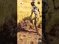 Robot. #agriculture #ytshorts #shortsvideo #trendingshorts #overwatch2 #exploremorechallenge